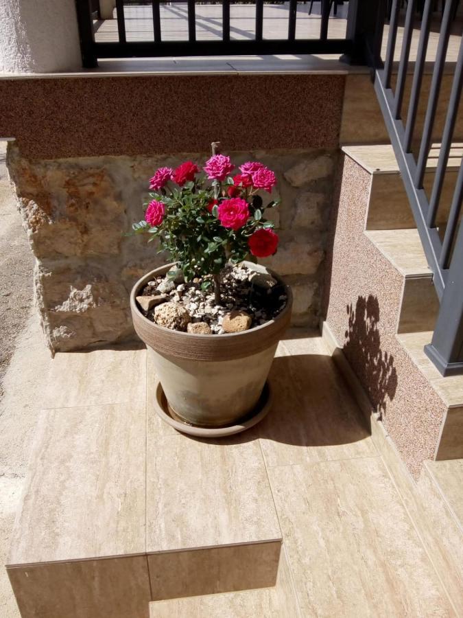 Apartment Plitvice Starigrad Paklenica Exterior foto